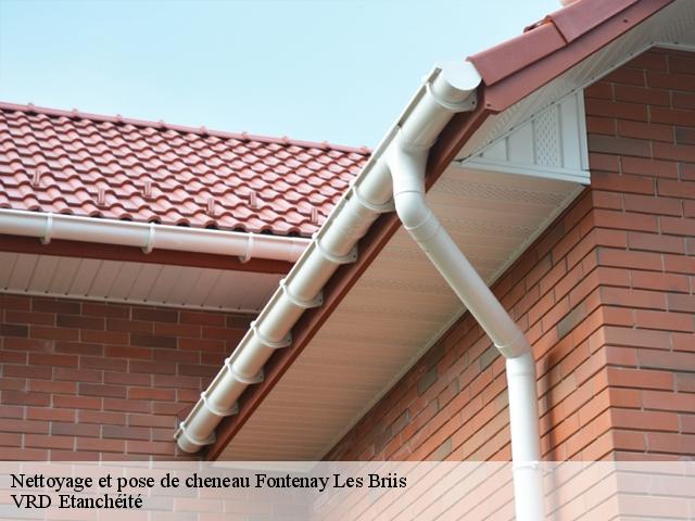 Nettoyage et pose de cheneau  fontenay-les-briis-91640 VRD Etanchéité